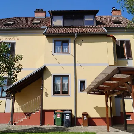 Arena Apartment